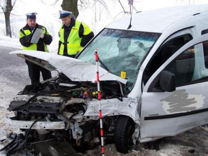 Elbląg, Opel na drzewie Elbląg, Opel na drzewie