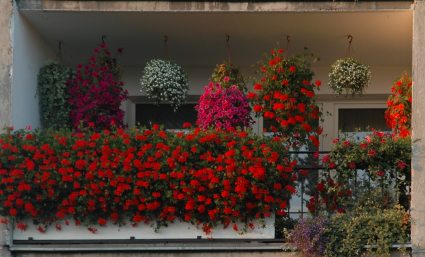 Elbląg, Najpiękniejsze balkony Zawady