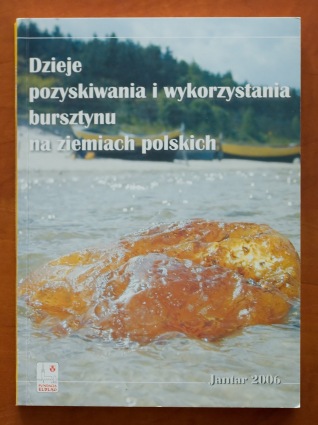 Elbląg, Książka o bursztynie Elbląg, Książka o bursztynie