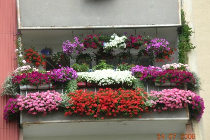 Elbląg, Najpiękniejszy balkon znajduje się przy ul. Rodziny Nalazków