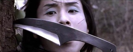 Elbląg, Shinobi