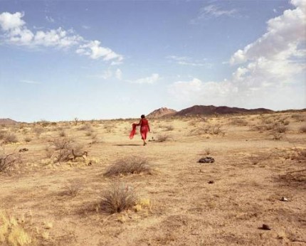 Elbląg, Zobacz Babel Elbląg, Zobacz Babel