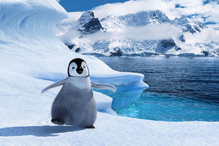 Elbląg, Happy feet: Tupot małych stóp Elbląg, Happy feet: Tupot małych stóp