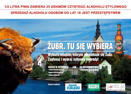 Elbląg, Żubr. Tu się wybiera