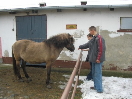 Elbląg, Spotkania odbywają się nawet zimą. Elbląg, Spotkania odbywają się nawet zimą.