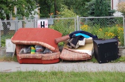 Elbląg, Co sobotę wystawka