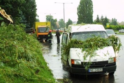 Elbląg, Drzewo spadło na dwa auta Elbląg, Drzewo spadło na dwa auta