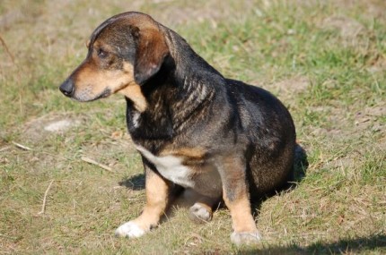 Elbląg, I co top będzie?