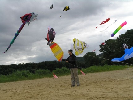 Elbląg, Zawody latawców na Plaży Srebrna Riwiera Elbląg, Zawody latawców na Plaży Srebrna Riwiera