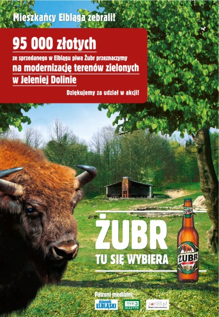 Elbląg, Żubr. 95 tysięcy zł na remont Smoków Elbląg, Żubr. 95 tysięcy zł na remont Smoków