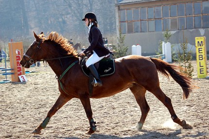 Elbląg, Mistrzostwa w Kadynach (jeździectwo)