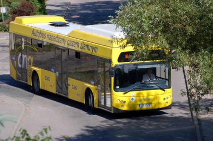 Elbląg, Autobusy wracają na trasę Elbląg, Autobusy wracają na trasę