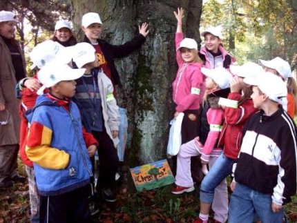 Elbląg, Uczniowie "osiemnastki" złożyli drzewom świąteczną wizytę