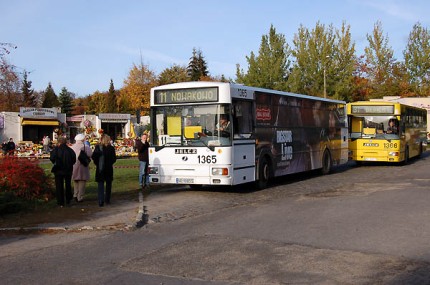 Elbląg, Świąteczna komunikacja Elbląg, Świąteczna komunikacja