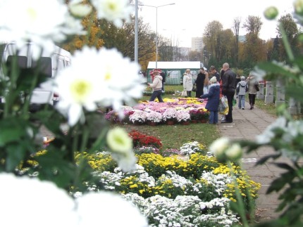 Elbląg, Dzień Wszystkich Świętych Elbląg, Dzień Wszystkich Świętych