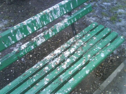 Elbląg, Chcesz mieć czyste spodnie? Nie siadaj