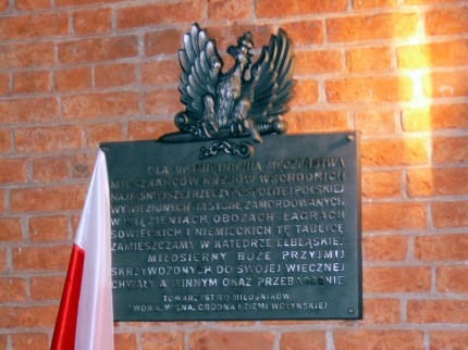 Elbląg, (fot ppor. Anna Pęzioł)
