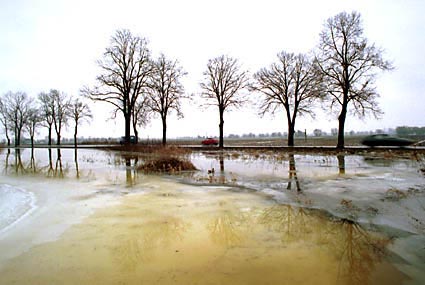 Elbląg, Żuławy, moja miłość?