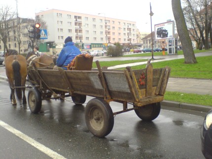 Elbląg, Fura, skóra i komóra Elbląg, Fura, skóra i komóra