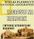 Elbląg, Czy będzie jednym z 30?