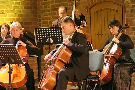 Elbląg, Koncert Elbląskiej Orkiestry Kameralnej w Bibliotece Elbląskiej.