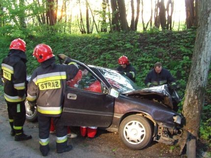 Elbląg, Pijany uderzył w drzewo