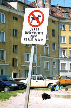 Elbląg, Będzie czyściej? Elbląg, Będzie czyściej?