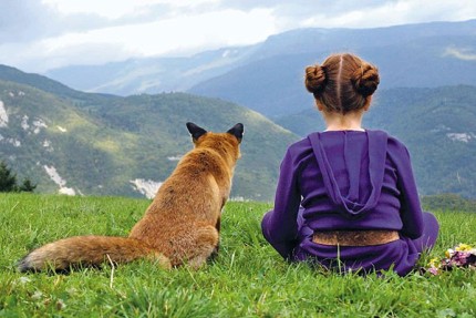 Elbląg, Mój przyjaciel lis