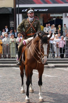 Elbląg, Święto ułanów