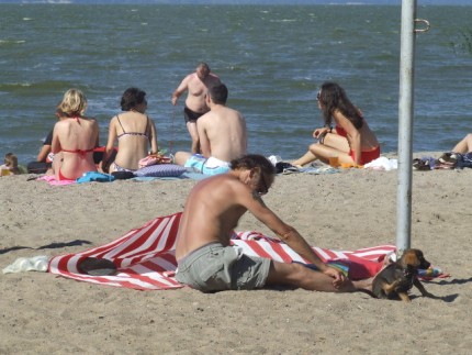 Elbląg, Plaża w Tolkmicku przed ogłoszeniem zakazu kąpieli