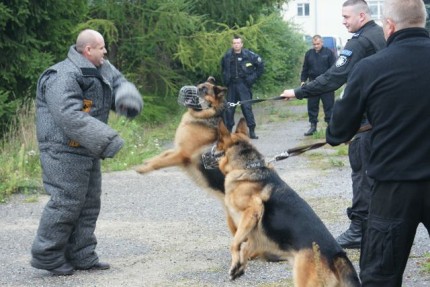 Elbląg, Czworonożni policjanci Elbląg, Czworonożni policjanci