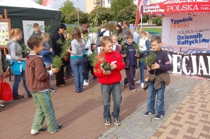 Elbląg, Drzewko za makulaturę!