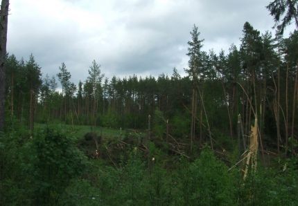 Elbląg, Pomoc dla rolników