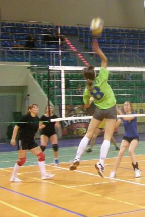 Elbląg, Gdynia zwycięża w Volley Cup 2008 (piłka siatkowa)