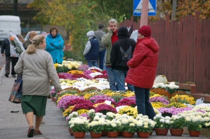 Elbląg, W pogoni za kwiatami i zniczami, czyli ile kosztuje pamięć Elbląg, W pogoni za kwiatami i zniczami, czyli ile kosztuje pamięć