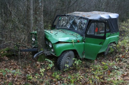 Elbląg, Kierowca UAZA, chcąc uniknąć zderzenia z dzikiem, uderzył w przydrożne drzewo