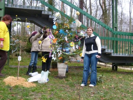 Elbląg, Choinka z iskierką nadziei
