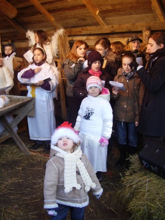 Elbląg, Jedyna w Elblągu!