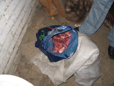 Elbląg, Policjanci znaleźli mięso dzika w mieszkaniu oraz w piwnicy