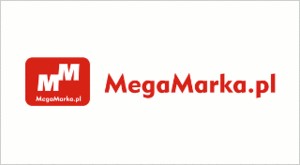 Elbląg, MegaMarka, czyli tworzenie wizerunku firmy Elbląg, MegaMarka, czyli tworzenie wizerunku firmy