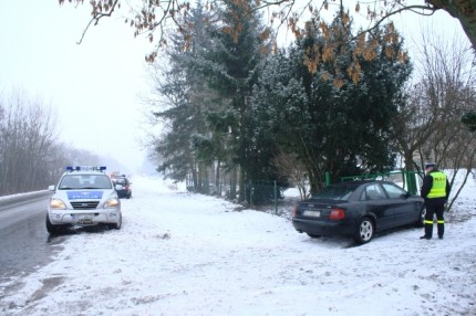 Elbląg, Potrącona na poboczu