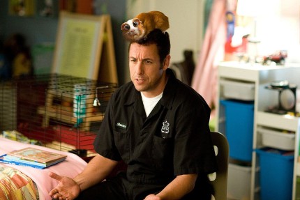 Elbląg, Opowieści na dobranoc