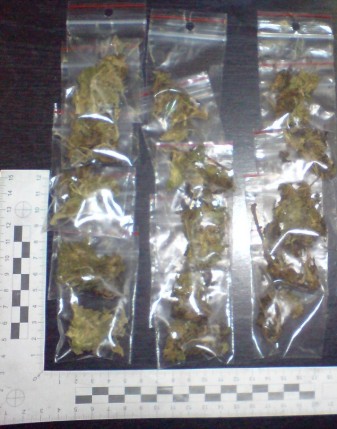 Elbląg, W mieszkaniu 23-latka policjanci znaleźli 17 porcji marihuany
