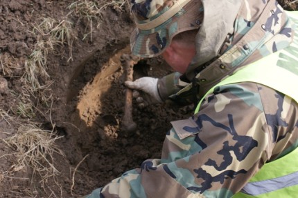 Elbląg, Saperzy znaleźli szczątki niemieckiego żołnierza