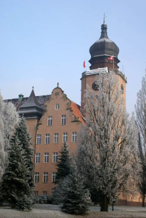 Elbląg, Miasto chce ulżyć przedsiębiorcom