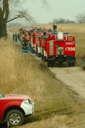 Elbląg, Strażacy w szuwarach Elbląg, Strażacy w szuwarach