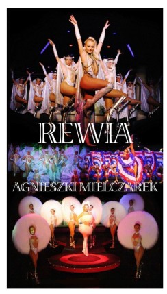 Elbląg, Zdjęcie ze strony lions.org.pl. Elbląg, Zdjęcie ze strony lions.org.pl.