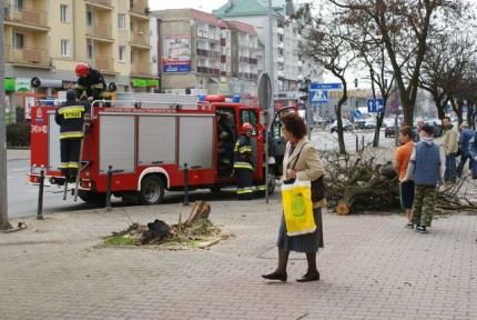 Elbląg, Uderzył w drzewo w centrum miasta