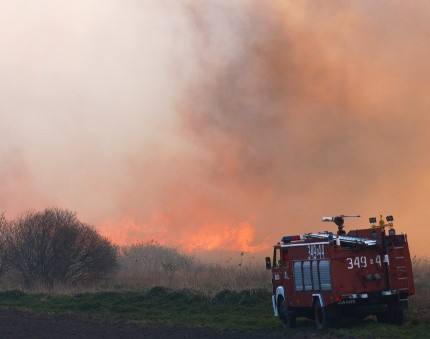 Elbląg, Pożar trawy - są utrudnienia w ruchu