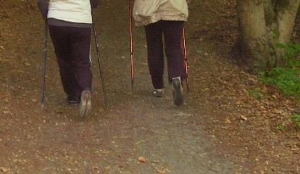 Elbląg, Kije na zdrowie Elbląg, Kije na zdrowie